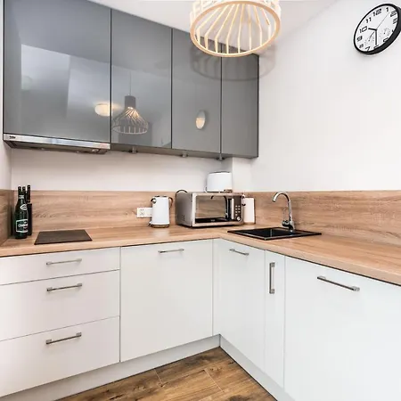 Rent Like -apartamenty Kolo Brzegu V & Mini *
